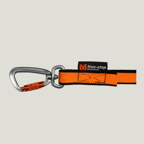 Bungee Leash