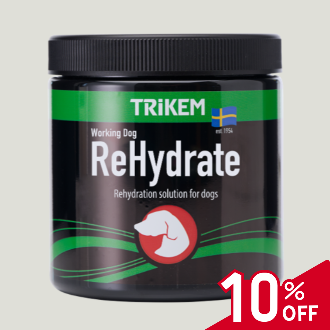 WorkingDog ReHydrate 400 G