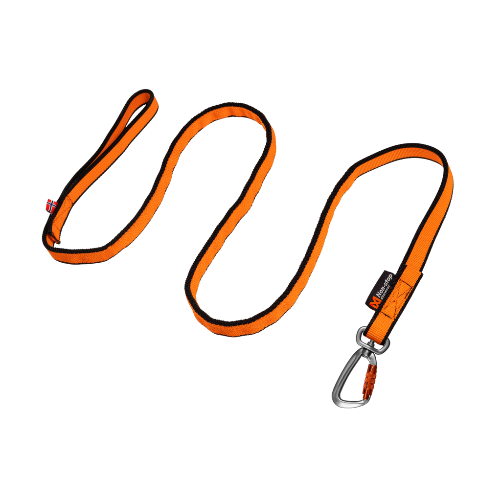 Bungee Leash