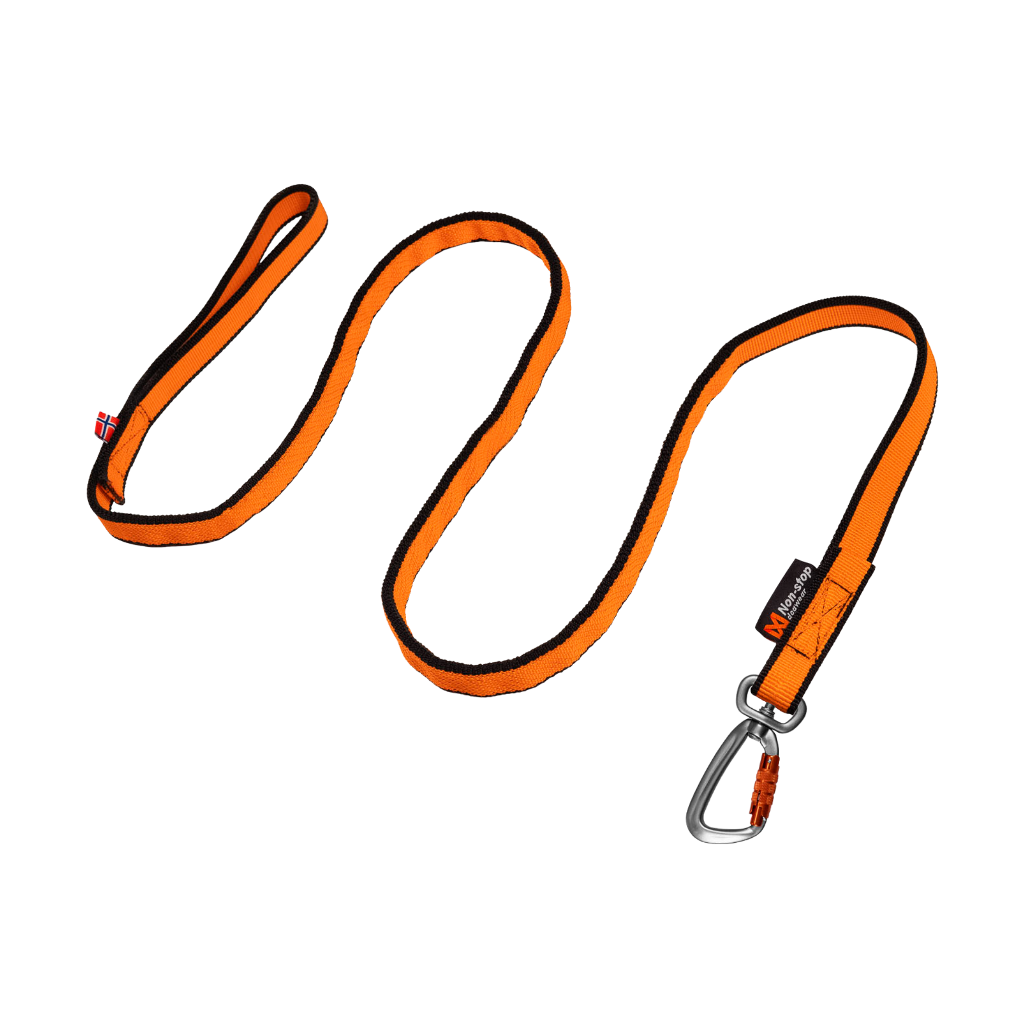 Bungee Leash