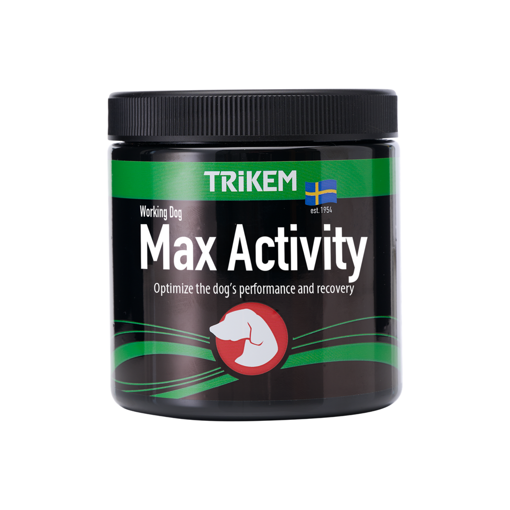 WorkingDog MaxActivity