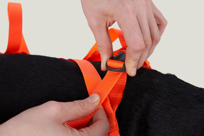Dog Rescue Sling