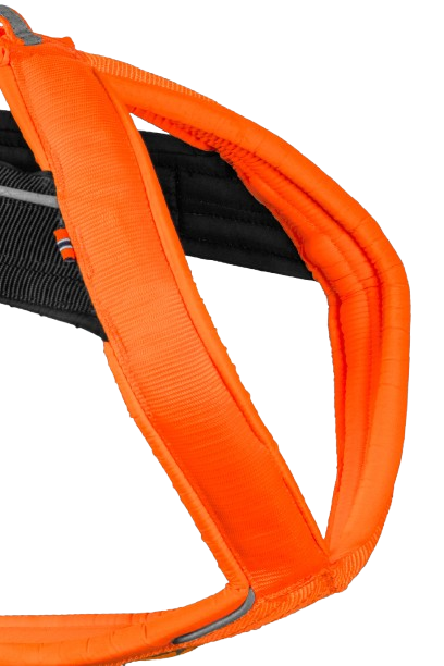 Freemotion Harness 5.0