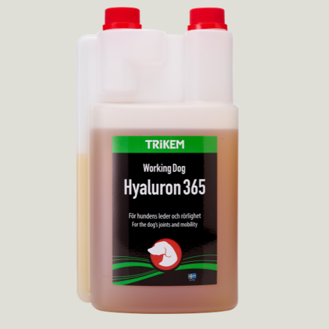 WorkingDog Hyaluron 365 1 L