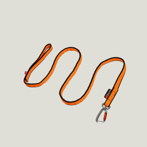 Bungee Leash