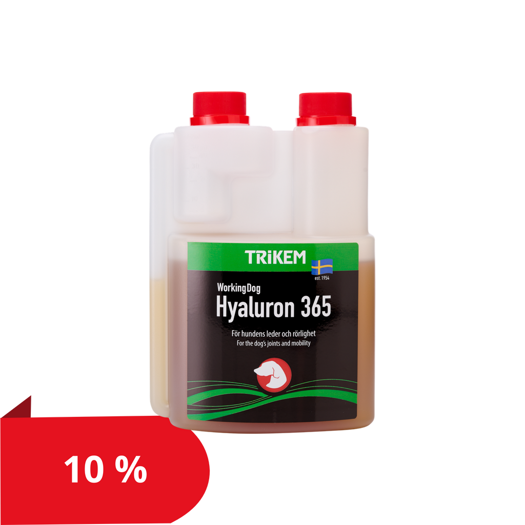 WorkingDog Hyaluron 365 1000ml